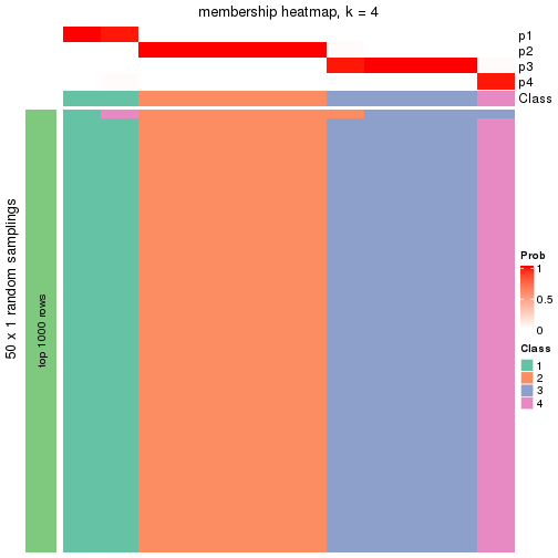 plot of chunk tab-node-0423-membership-heatmap-3