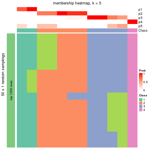 plot of chunk tab-node-0423-membership-heatmap-4