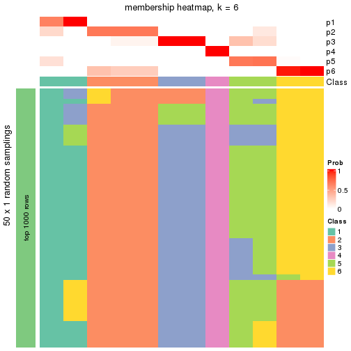 plot of chunk tab-node-0423-membership-heatmap-5