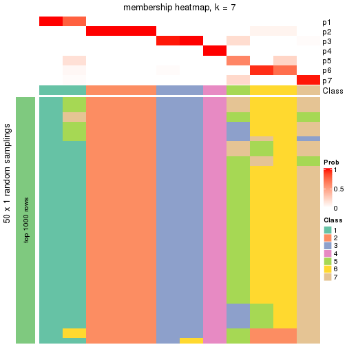 plot of chunk tab-node-0423-membership-heatmap-6