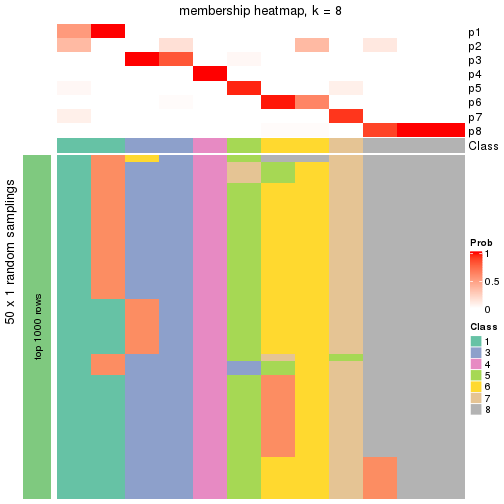 plot of chunk tab-node-0423-membership-heatmap-7