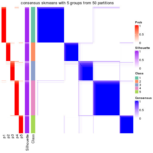 plot of chunk tab-node-0-consensus-heatmap-4