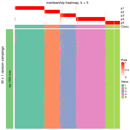 plot of chunk tab-node-0-membership-heatmap-4