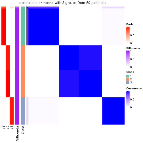 plot of chunk tab-node-01-consensus-heatmap-2