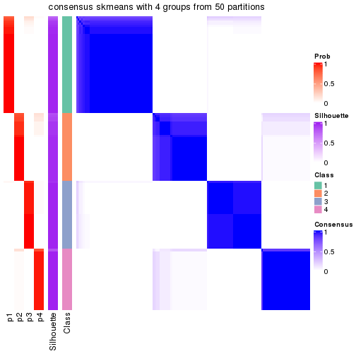 plot of chunk tab-node-01-consensus-heatmap-3