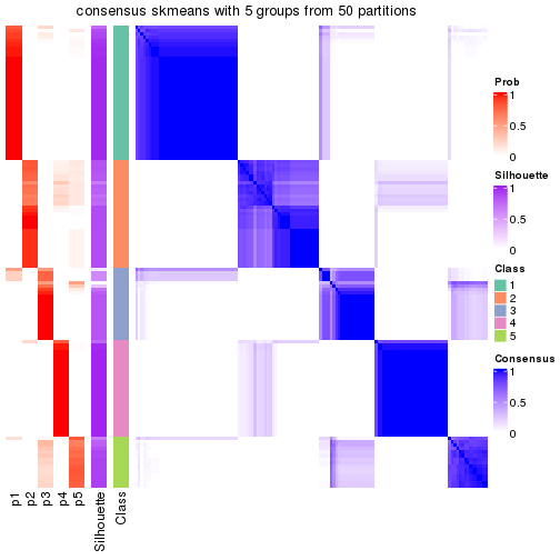 plot of chunk tab-node-01-consensus-heatmap-4