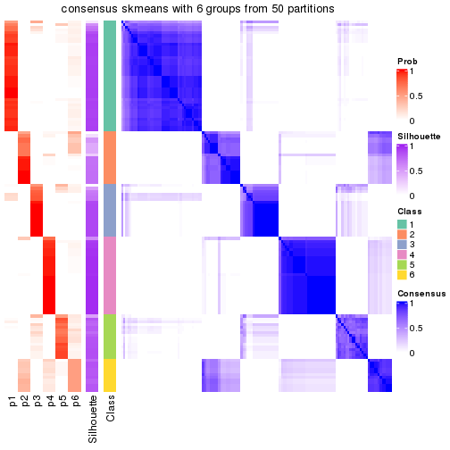 plot of chunk tab-node-01-consensus-heatmap-5