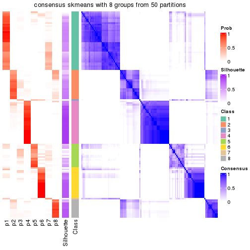 plot of chunk tab-node-01-consensus-heatmap-7