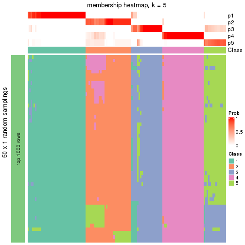 plot of chunk tab-node-01-membership-heatmap-4