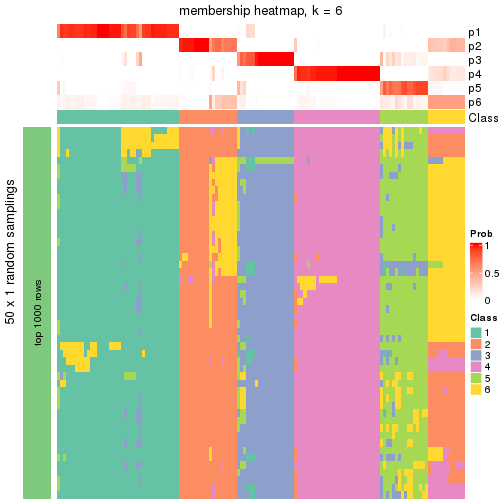 plot of chunk tab-node-01-membership-heatmap-5