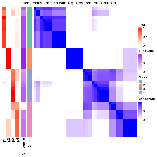 plot of chunk tab-node-011-consensus-heatmap-3