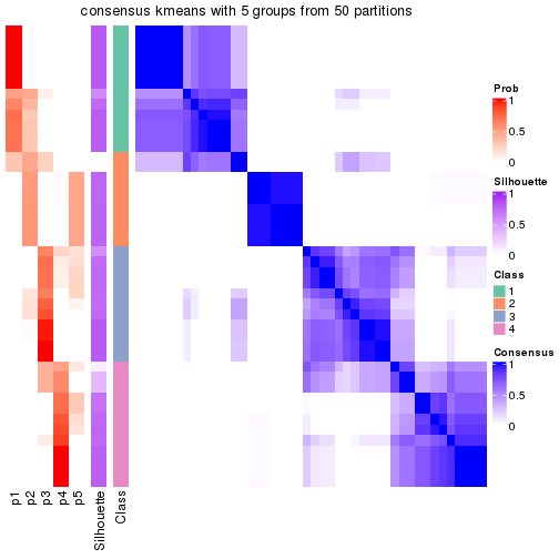 plot of chunk tab-node-011-consensus-heatmap-4