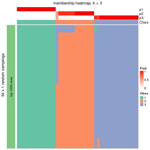 plot of chunk tab-node-011-membership-heatmap-2