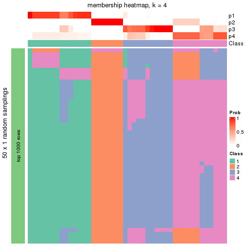 plot of chunk tab-node-011-membership-heatmap-3