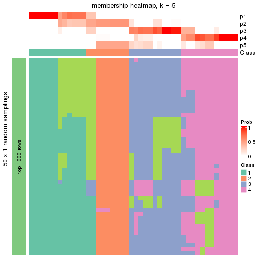 plot of chunk tab-node-011-membership-heatmap-4