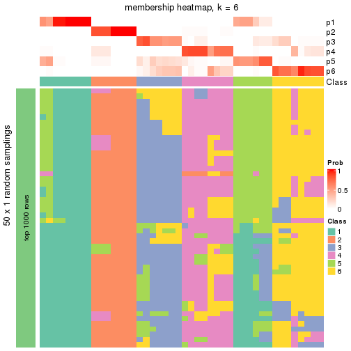 plot of chunk tab-node-011-membership-heatmap-5