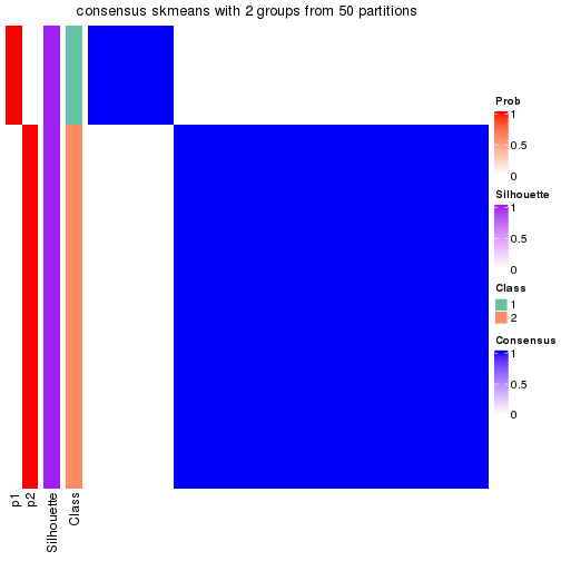 plot of chunk tab-node-0111-consensus-heatmap-1