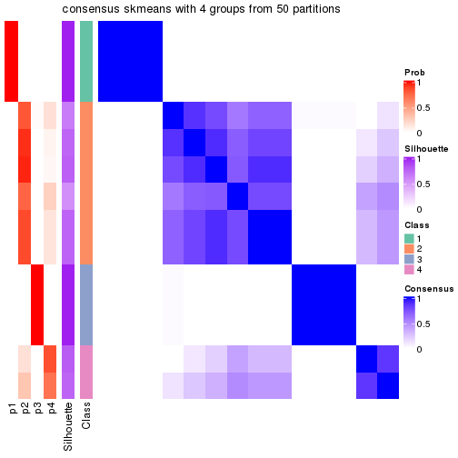 plot of chunk tab-node-0111-consensus-heatmap-3