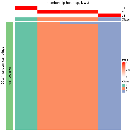 plot of chunk tab-node-0111-membership-heatmap-2