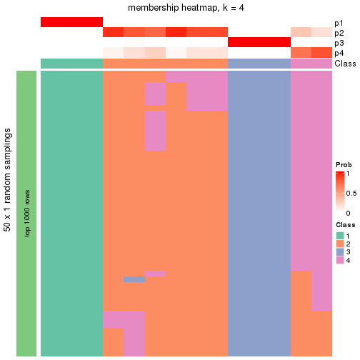 plot of chunk tab-node-0111-membership-heatmap-3