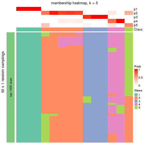 plot of chunk tab-node-0111-membership-heatmap-4