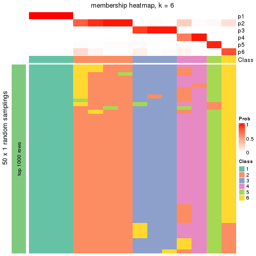 plot of chunk tab-node-0111-membership-heatmap-5