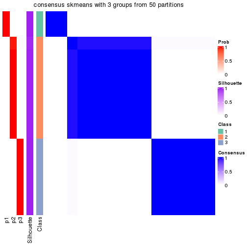 plot of chunk tab-node-0113-consensus-heatmap-2