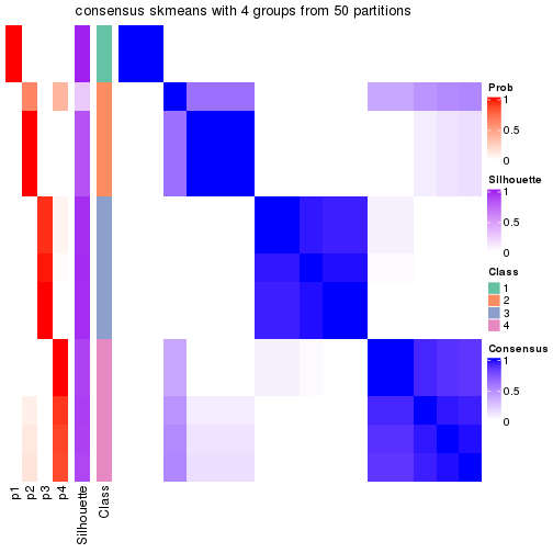 plot of chunk tab-node-0113-consensus-heatmap-3