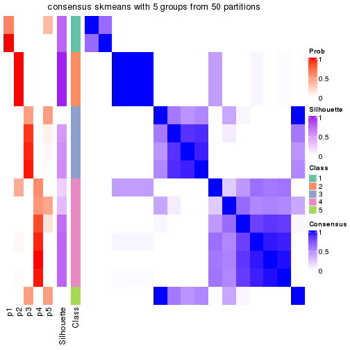 plot of chunk tab-node-0113-consensus-heatmap-4