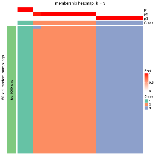 plot of chunk tab-node-0113-membership-heatmap-2