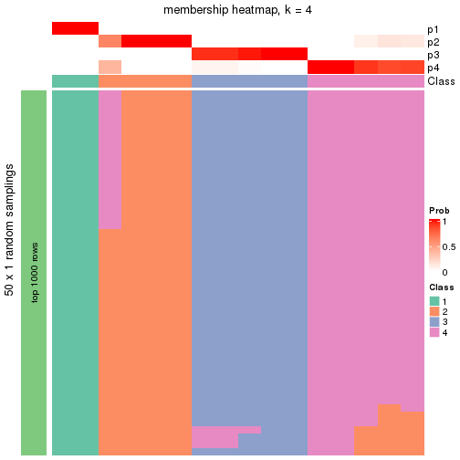 plot of chunk tab-node-0113-membership-heatmap-3