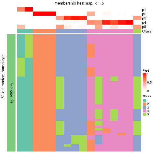 plot of chunk tab-node-0113-membership-heatmap-4