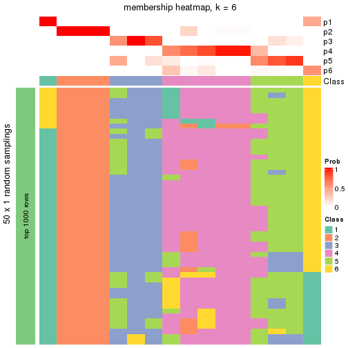 plot of chunk tab-node-0113-membership-heatmap-5