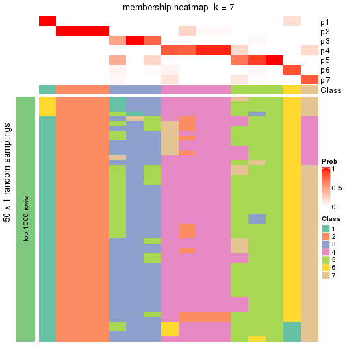 plot of chunk tab-node-0113-membership-heatmap-6