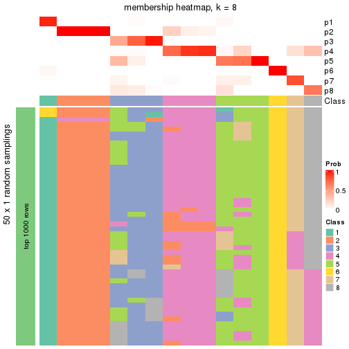 plot of chunk tab-node-0113-membership-heatmap-7