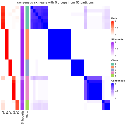 plot of chunk tab-node-012-consensus-heatmap-4