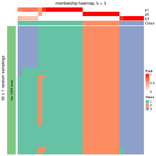 plot of chunk tab-node-012-membership-heatmap-2