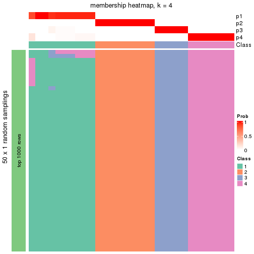 plot of chunk tab-node-012-membership-heatmap-3