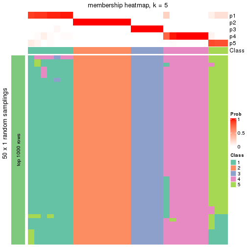 plot of chunk tab-node-012-membership-heatmap-4