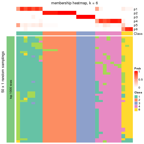 plot of chunk tab-node-012-membership-heatmap-5