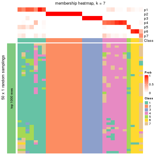 plot of chunk tab-node-012-membership-heatmap-6