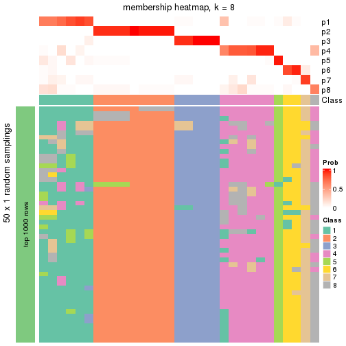 plot of chunk tab-node-012-membership-heatmap-7