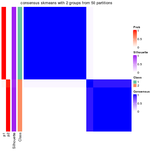 plot of chunk tab-node-013-consensus-heatmap-1