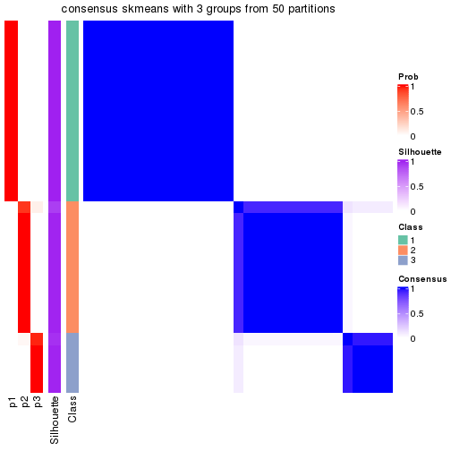 plot of chunk tab-node-013-consensus-heatmap-2