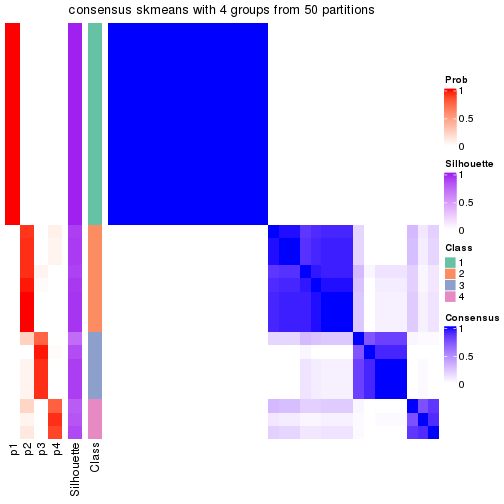 plot of chunk tab-node-013-consensus-heatmap-3