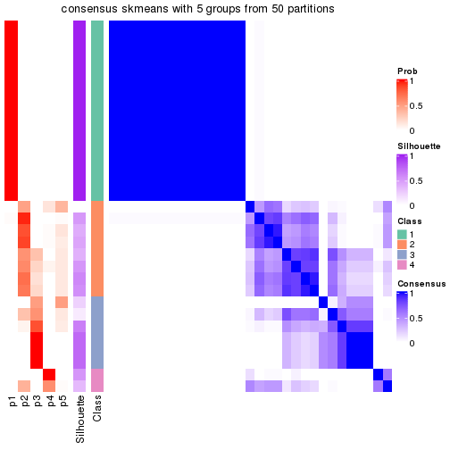 plot of chunk tab-node-013-consensus-heatmap-4