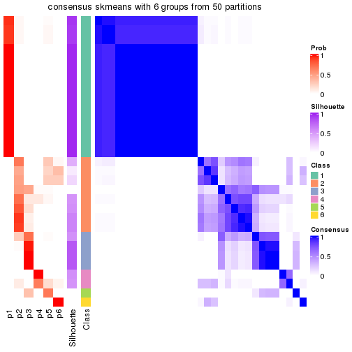 plot of chunk tab-node-013-consensus-heatmap-5