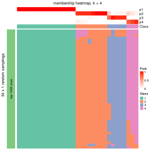 plot of chunk tab-node-013-membership-heatmap-3