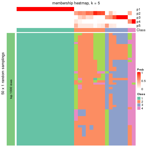 plot of chunk tab-node-013-membership-heatmap-4