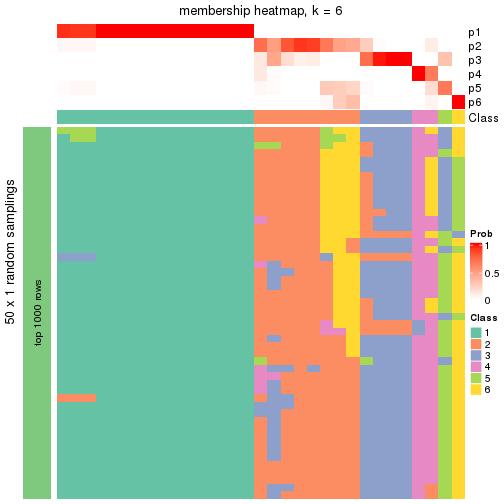 plot of chunk tab-node-013-membership-heatmap-5